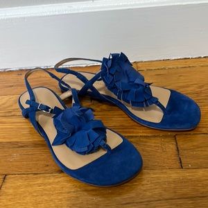 Banana Republic sandals, royal blue, suede